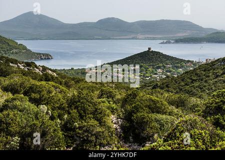 Paesaggio costiero e antica torre genovese, Capo caccia, vicino ad Alghero, Sardegna, Italia, Europa Foto Stock