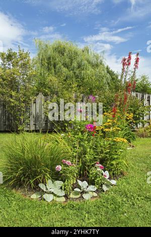 Confine misto con Salvia, Salvia d'Argento, Rudbeckia hirta 'Primavera irlandese', Coneflowers, Dahlia e Lobelia cardinalis rossa, Cardinale Fiore nel cortile di gar Foto Stock