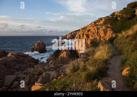 Sentiero escursionistico e rocce rosse vicino al mare, tramonto, Costa Paradiso, Sardegna, Italia, Europa Foto Stock