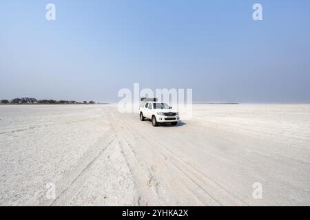 Toyota Hilux a quattro ruote motrici con tenda sul tetto, guida su salina, auto solitaria in grande pianura, Nxai Pan National Park, Botswana, Africa Foto Stock