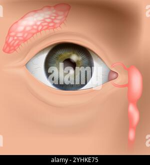 Anatomia della ghiandola lacrimale, punto lacrimale superiore, canale lacrimale superiore, sacco lacrimale, canale nasolacrimale. Illustrazione dell'occhio. Illustrazione Vettoriale