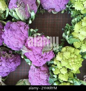 colorful assortment of vibrant purple cauliflowers and green Romanesco displayed at a market. Foto Stock