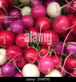 Un colorato mix di rutti appena raccolti in sfumature di rosso, viola e bianco. Le tonalità vivaci e le texture naturali conferiscono freschezza Foto Stock