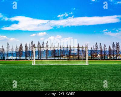 Campo da calcio panoramico con palo di gala e sfondo alberato Foto Stock