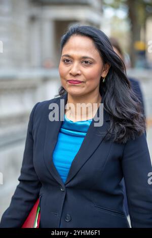 Londra, Regno Unito. 12 novembre 2024. RUSHANARA ALI deputato visto lasciare l'ufficio di governo Whitehall credito: Richard Lincoln/Alamy Live News Foto Stock