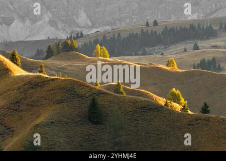 Tramonto dal camper sul passo Pordoi Foto Stock