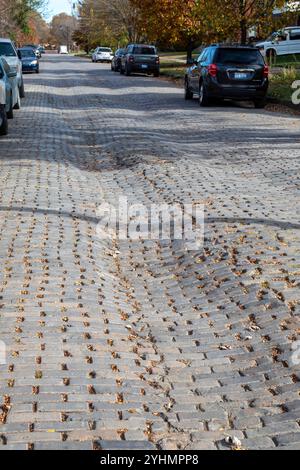 Detroit, Michigan - i solchi profondi nella storica Virginia Park Street pavimentata in mattoni ricordano la rivolta di Detroit del 1967, quando i residenti si scontrarono con la polizia e la polizia Foto Stock