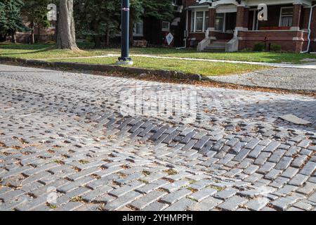 Detroit, Michigan - i solchi profondi nella storica Virginia Park Street pavimentata in mattoni ricordano la rivolta di Detroit del 1967, quando i residenti si scontrarono con la polizia e la polizia Foto Stock