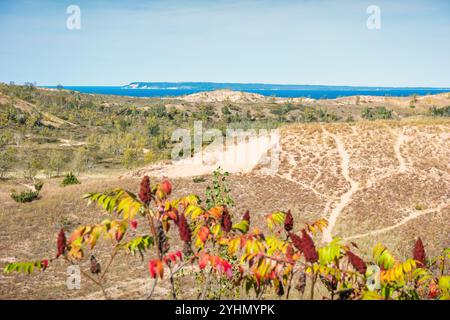 Dune Overlook on Pierce Stocking Scenic Drive in Sleeping Bear Dunes National Lakeshore, Michigan, USA. Foto Stock