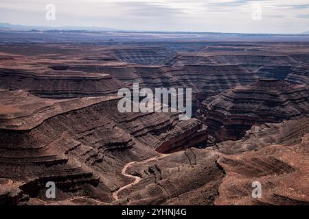Splendida vista aerea dal suggestivo Muley Point che si affaccia sui canyon e sul tortuoso fiume San Juan nello Utah, Stati Uniti. Il paesaggio robusto mostra g Foto Stock