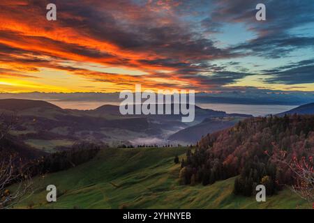 Svizzera, Passwang, Passwang se, se, Soletta, Mümliswil-Ramiswil, Schwarzbubenland, alba, Vogelberg, novembre Foto Stock