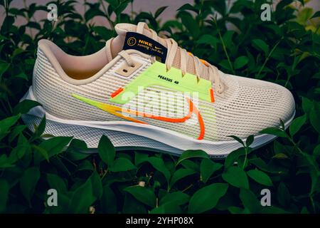 scarpe da running nike Foto Stock