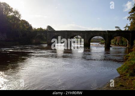 crana river e castle bridge presso il parco dei cigni di buncrana, contea di donegal, repubblica d'irlanda Foto Stock