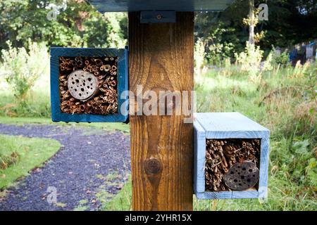 hotel di api e insetti nel parco dei cigni di buncrana, contea di donegal, repubblica d'irlanda Foto Stock