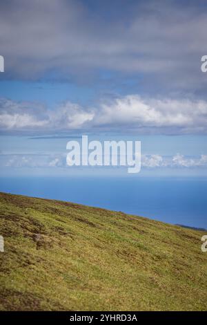 Viste mozzafiato sul mare dalla Foresta Fanale di Madeira su un altopiano. Foto Stock