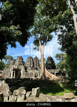 La natura sta riprendendo il proprio spazio , alberi nelle rovine dei vecchi templi di Angkor, Siem Reap, Cambogia Foto Stock