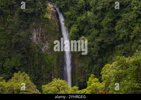 Cascata a la fortuna, Costa Rica Foto Stock