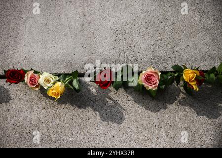 Berlino, Germania. 9 novembre 2024. Fiori al Memoriale del muro di Berlino dopo la cerimonia commemorativa che ha segnato il 35° anniversario della caduta del muro di Berlino. (Credit Image: © Beata Zawrzel/ZUMA Press Wire) SOLO PER USO EDITORIALE! Non per USO commerciale! Foto Stock