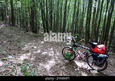Una bicicletta da turismo completamente carica parcheggiata su un sentiero boschivo ombreggiato circondato da lussureggianti alberi verdi in estate Foto Stock