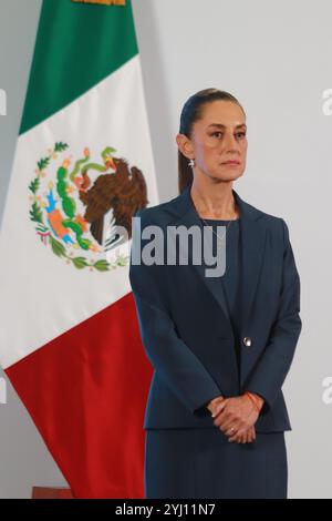 Non esclusiva: Claudia Sheinbaum Pardo, presidente del Messico, parla durante un briefing sul piano di sicurezza nazionale al Palazzo Nazionale. Foto Stock