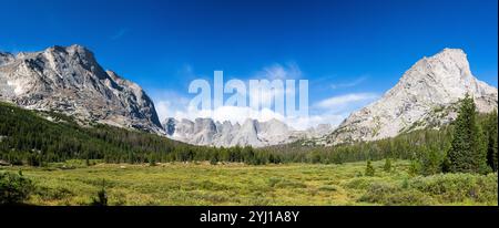 Il Cirque of the Towers si innalza in lontananza oltre un lussureggiante prato delle paludi lungo il fiume North Popo Agie nelle montagne del Wind River. Popo Agie W. Foto Stock