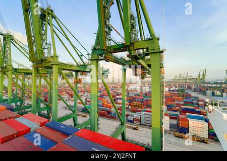 Vista aerea di un vivace porto di container con file di colorati container e grandi gru contro un cielo limpido, Singapore Foto Stock