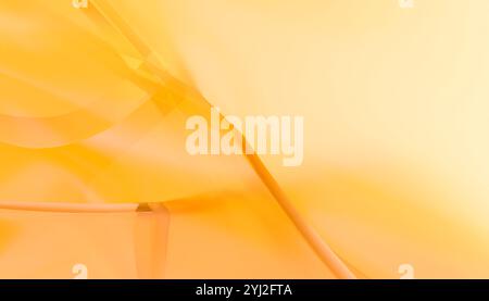 Sfondo sfumato arancione e giallo astratto con linee e curve morbide. Foto Stock