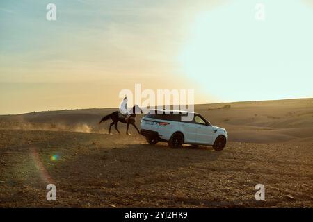 Una persona cavalca un cavallo accanto a un SUV bianco guidando attraverso un paesaggio desertico al tramonto, in Marocco Foto Stock