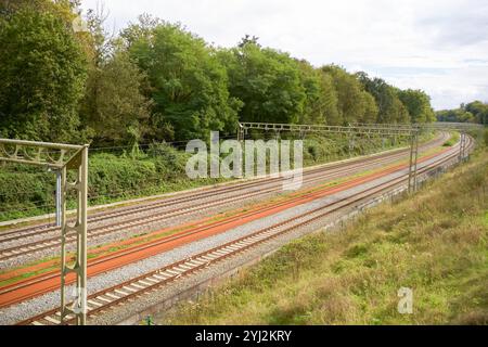 I binari ferroviari vuoti si snodano attraverso un paesaggio verde sotto un cielo nuvoloso. Foto Stock