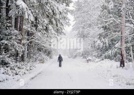 Una donna cammina lungo una strada innevata fiancheggiata da alberi carichi di neve. Foto Stock