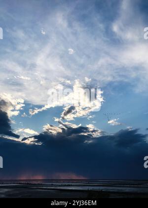 Una tranquilla vista sulla costa con uno splendido cielo serale con spettacolari nuvole. Gli uccelli volano in formazione sullo sfondo vibrante, creando una scena Foto Stock