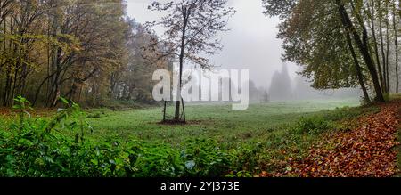 Forsthaus im Nebel Foto Stock