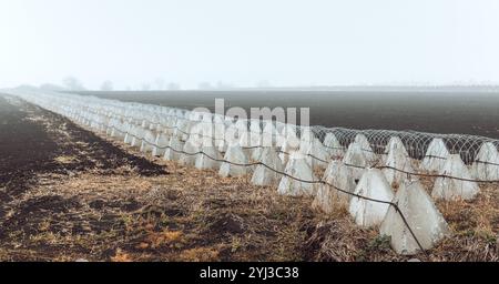 Regione di Kharkiv, Ucraina. 8 novembre 2024. Fortificazioni dei denti del drago e filo spinato nella regione di Charkiv durante la guerra russo-Ucraina. Nella regione di Charkiv, le fortificazioni difensive svolgono un ruolo cruciale nel garantire la sicurezza in mezzo alle tensioni in corso. Le barriere in calcestruzzo e le linee di filo spinato contribuiscono a impedire l'accesso non autorizzato e aggiungono livelli di protezione. Queste strutture sono collocate strategicamente in campi aperti per scoraggiare potenziali minacce. (Foto di Mykhaylo Palinchak/SOPA Images/Sipa USA) credito: SIPA USA/Alamy Live News Foto Stock