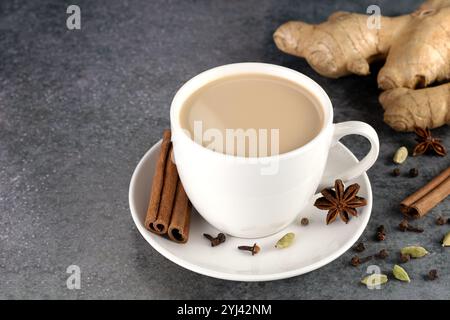 Tè masala indiano in una tazza bianca con spezie: Cannella, anice stellato, zenzero, chiodi di garofano, cardamomo su sfondo grigio. Foto Stock