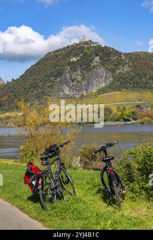 Pista ciclabile sul Drachenfels, una montagna nel Siebengebirge sul Reno tra Bad Honnef e Koenigswinter, con rovine del castello di Drachenfels e barca Foto Stock