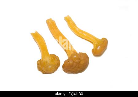 Jelly baby fungus Leotica lubrica su sfondo bianco Foto Stock