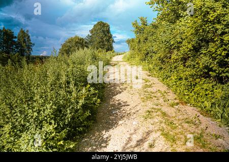 Un sentiero di ghiaia si snoda delicatamente attraverso un fogliame verde vibrante. Foto Stock