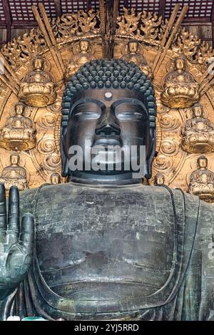 Statua con il grande Buddha (Daibutsu) nella sala principale del tempio Todaiji, situato a Nara in Giappone Foto Stock