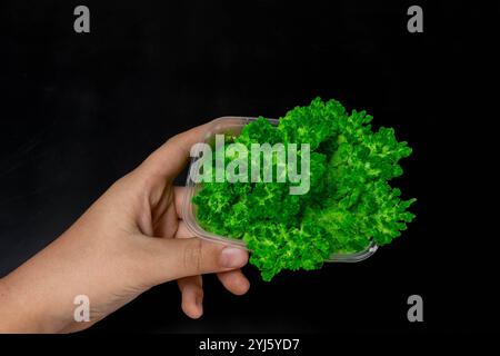 Tenere con la mano un contenitore in plastica trasparente riempito con una soluzione chimica verde brillante in cui si formano cristalli Foto Stock