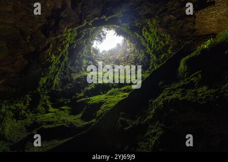 L'Algar do Carvão è un tubo lavico situato nella parte centrale dell'isola di Terceira nell'arcipelago portoghese delle Azzorre. Foto Stock