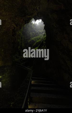 L'Algar do Carvão è un tubo lavico situato nella parte centrale dell'isola di Terceira nell'arcipelago portoghese delle Azzorre. Foto Stock