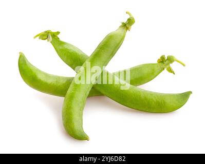 percorso dei piselli verdi isolato su bianco Foto Stock