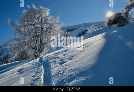 Skitour a Ochsenkopf da Achensee Foto Stock