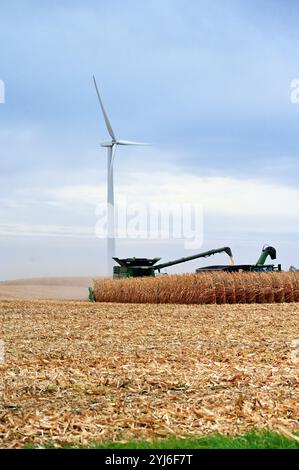 Waterman, Illinois, Stati Uniti. Il campo di mais viene raccolto nell'Illinois centro-orientale come una turbina eolica sovrasta la scena. Foto Stock