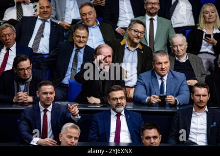 Berlino, Germania. 13 novembre 2024. I membri del partito di destra alternative fuer Deutschland (AfD) urlano e gesto durante una sessione plenaria alla camera bassa del Bundestag del Parlamento a Berlino, in Germania, il 13 novembre 2024. (Foto di Emmanuele Contini/NurPhoto) credito: NurPhoto SRL/Alamy Live News Foto Stock