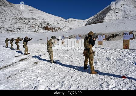 I paracadutisti dell'esercito statunitense assegnati alla 173a brigata aviotrasportata insieme ai soldati dell'esercito italiano e alle forze speciali dell'esercito sloveno, affrontano obiettivi durante la A. Foto Stock