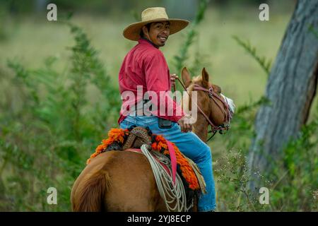 Un Pantaneiro (cowboy locale) sul suo cavallo presso l'Aguape Lodge nel Pantanal meridionale, Mato grosso do sul, Brasile. Foto Stock