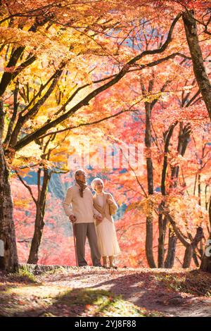 Coppia senior che si diverte a sbirciare le foglie d'autunno Foto Stock