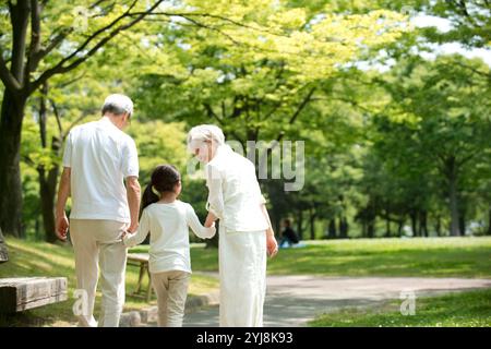 La coppia senior e i nipoti camminano nel parco Vista posteriore Foto Stock