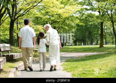 La coppia senior e i nipoti camminano nel parco Vista posteriore Foto Stock